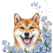 niezapominajki pieski — shiba.png