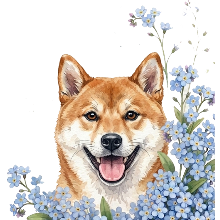 niezapominajki pieski — shiba.png