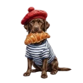 labrador czekoladowy.png