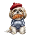 shih tzu.png