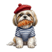 shih tzu.png