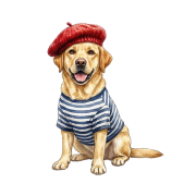 labrador.png