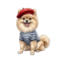 pomeranian.png