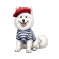 samoyed.png