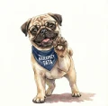 Mops.png