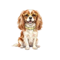 cavalier.png