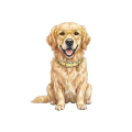 golden.png