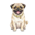 mops cytrynki.png