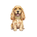 cocker spaniel.png