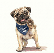 Mops.png