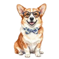 corgi borówki.png