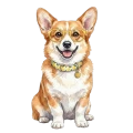 corgi cytryna.png