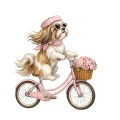 Shih tzu.png