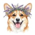 Corgi.png