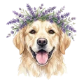 Golden.png
