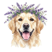 Golden.png