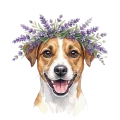Jack russell terrier.png