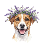 Jack russell terrier.png