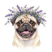 Mops.png