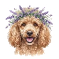 Pudel.png