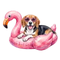 Beagle.png