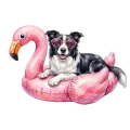 Border collie.png