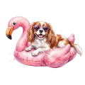 Cavalier.png
