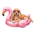 Cocker spaniel.png