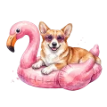 Corgi.png