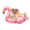 Labrador.png