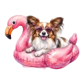 Papillon.png