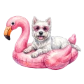 West.png