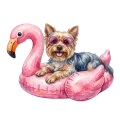 York.png