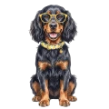 Seter szkocki.png