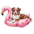 owczarek australijski.png