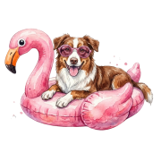 owczarek australijski.png
