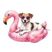 jack russell terrier flaming.png