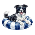 Border collie.png