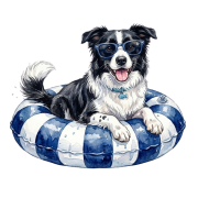 Border collie.png