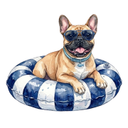 buldog francuski.png