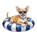 Chihuahua.png