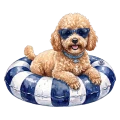 pudel.png