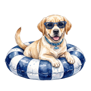Labrador.png