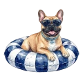 buldog francuski.png
