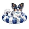 papillon.png