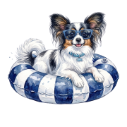 papillon.png