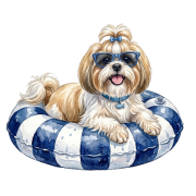 shih tzu.png