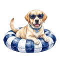 Labrador.png