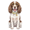 springer spaniel angielski.png