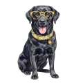 labrador czarny.png